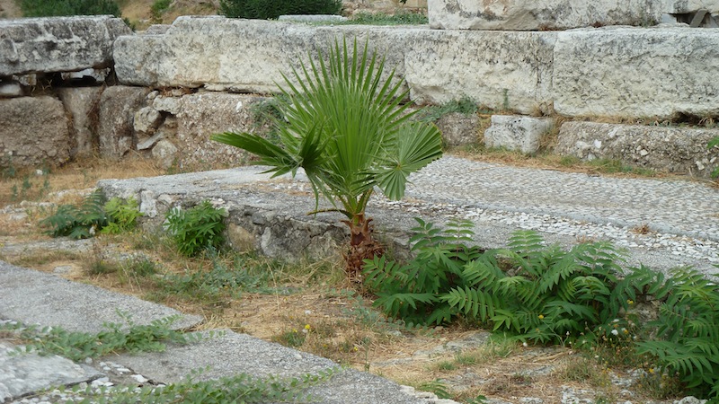 Kerameikos 10.JPG
